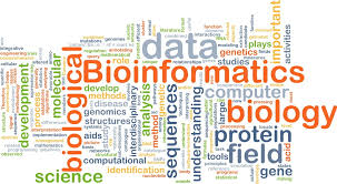 Bioinformatica: cos'è, cosa studia, a cosa serve